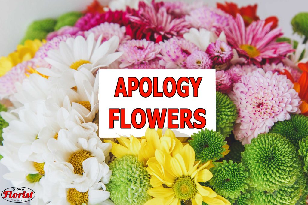 apology flowers Miami